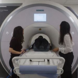 MRI NS EM Snap